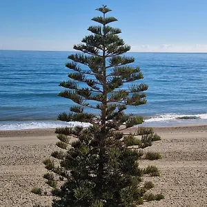 Atico Frente Al Mar, Un 